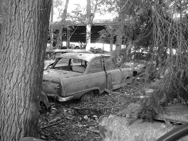 Autofriedhof - 087.JPG - Historischer Autofriedhof,    Gürbetal (CH)